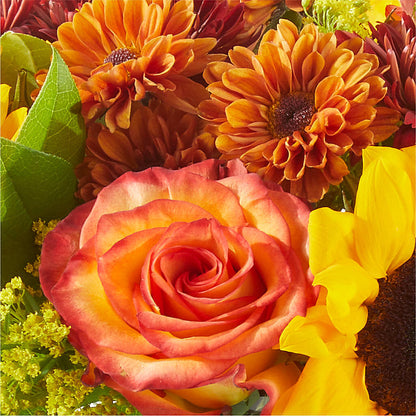 Flannel Scarf Bouquet –  Daisy Day Florist, Avondale Estates GA