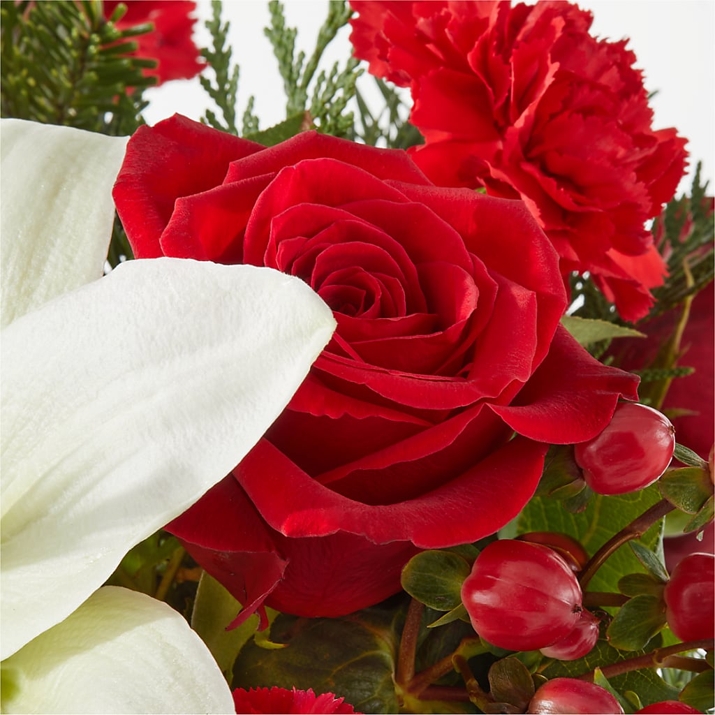 Oh So Jolly Bouquet –  Daisy Day Florist, Avondale Estates GA