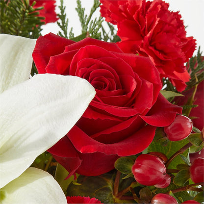 Oh So Jolly Bouquet –  Daisy Day Florist, Avondale Estates GA