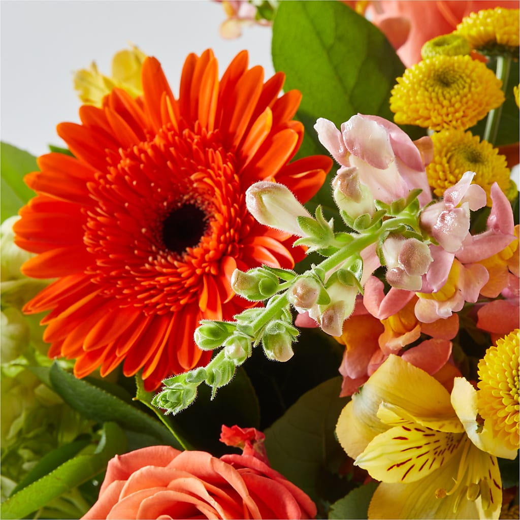 Autumn Sunshine Bouquet –  Daisy Day Florist, Avondale Estates GA