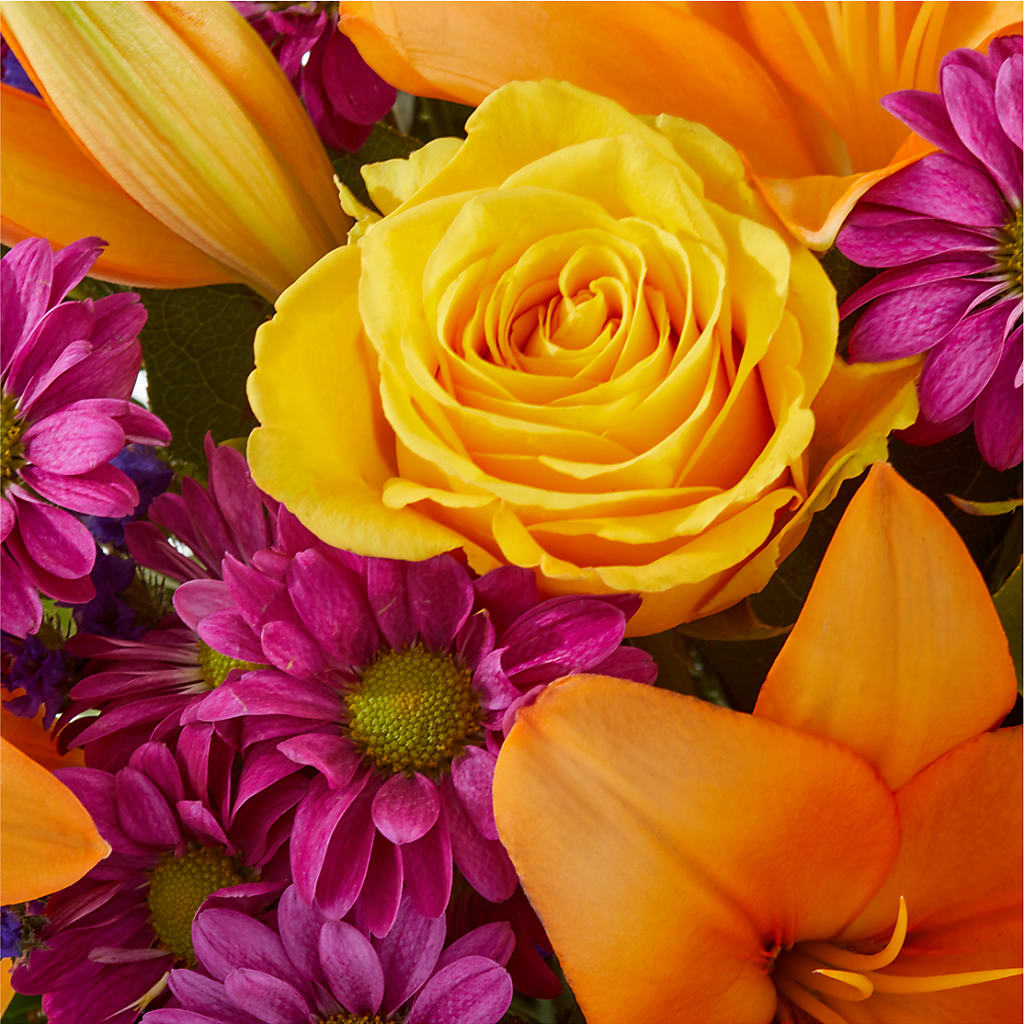 Colorful Visions Bouquet –  Daisy Day Florist, Avondale Estates GA