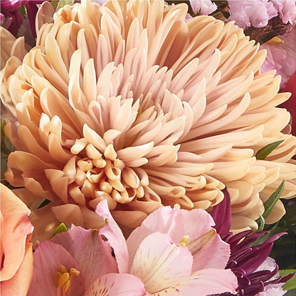 Berry Cobbler Bouquet –  Daisy Day Florist, Avondale Estates GA