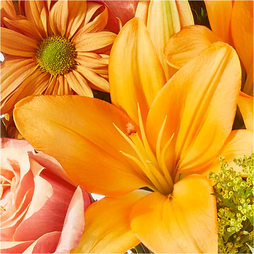 Harvest Hayride Bouquet –  Daisy Day Florist, Avondale Estates GA