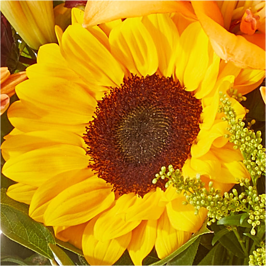 Seasons Change Bouquet –  Daisy Day Florist, Avondale Estates GA