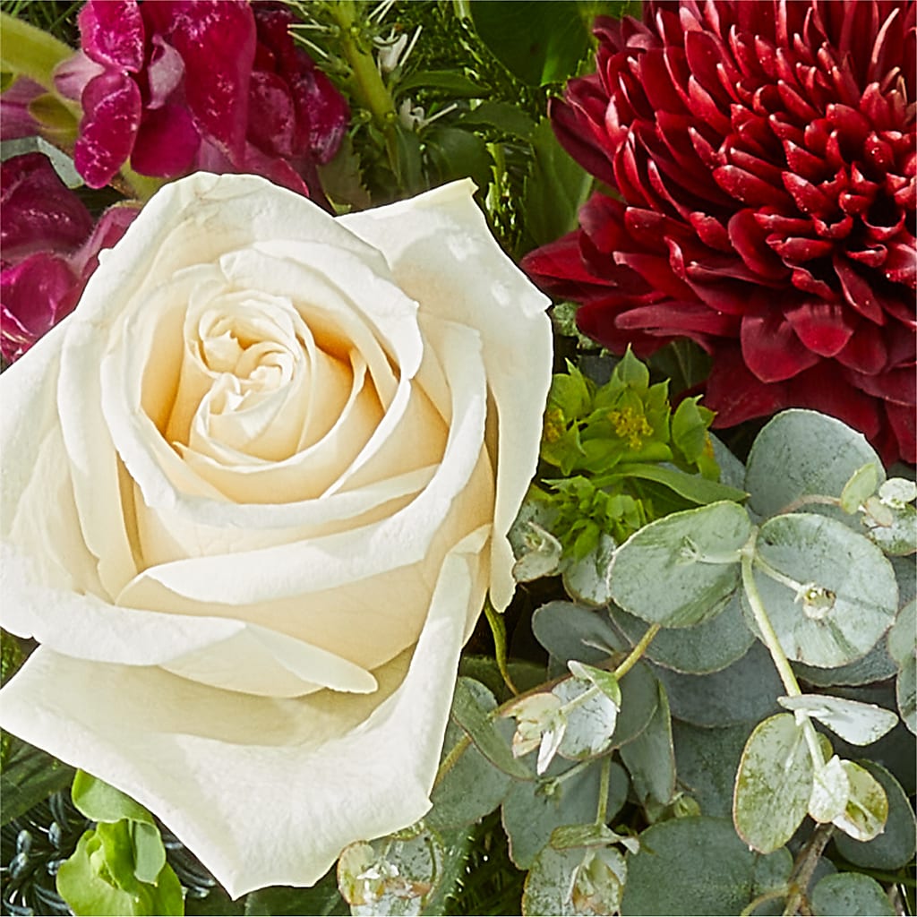 Cranberry Fizz Bouquet –  Daisy Day Florist, Avondale Estates GA