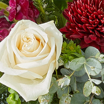 Cranberry Fizz Bouquet –  Daisy Day Florist, Avondale Estates GA