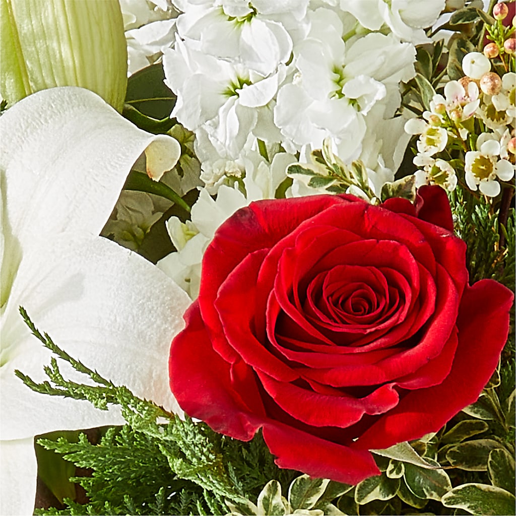 Twinkle Lights Bouquet –  Daisy Day Florist, Avondale Estates GA