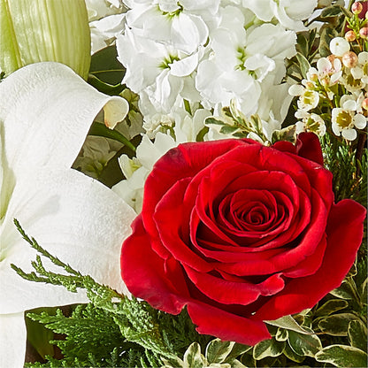 Twinkle Lights Bouquet –  Daisy Day Florist, Avondale Estates GA