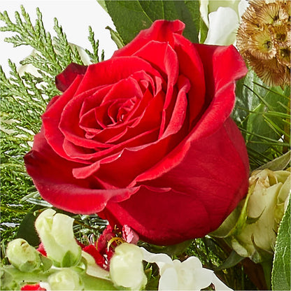 Deck the Halls Bouquet –  Daisy Day Florist, Avondale Estates GA