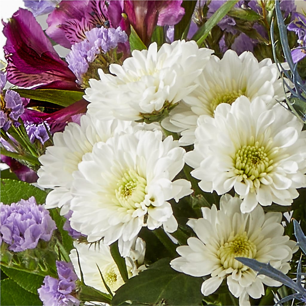 Shooting Star Bouquet –  Daisy Day Florist, Avondale Estates GA