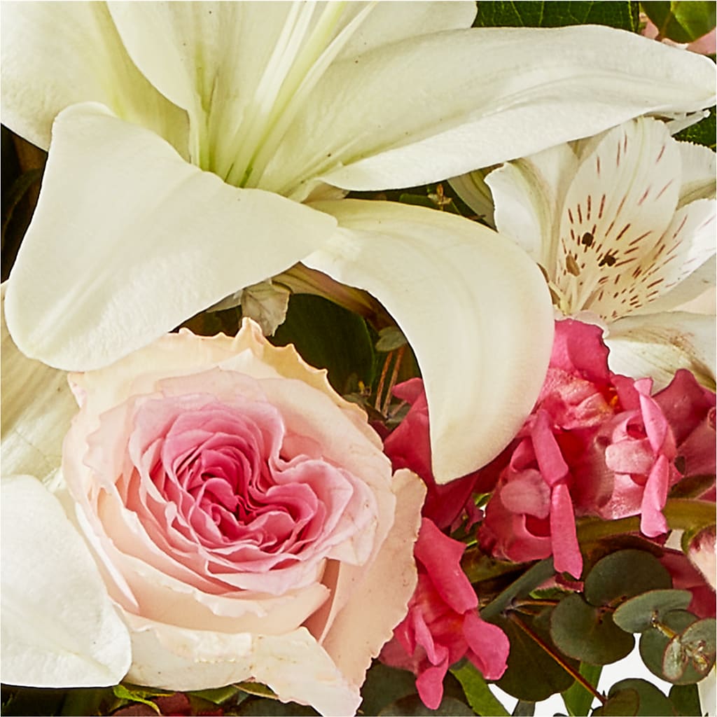 Ballet Slippers Bouquet –  Daisy Day Florist, Avondale Estates GA
