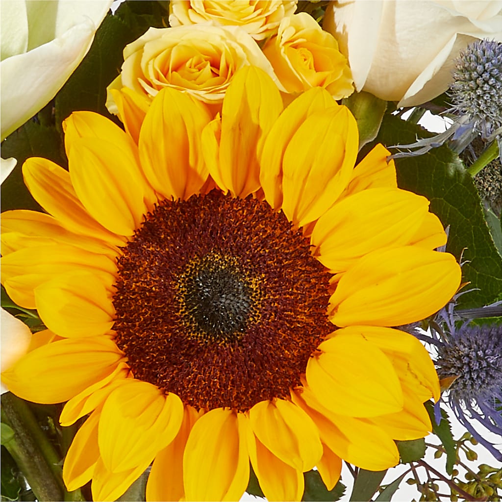 Wonderfully Sunny Bouquet –  Daisy Day Florist, Avondale Estates GA