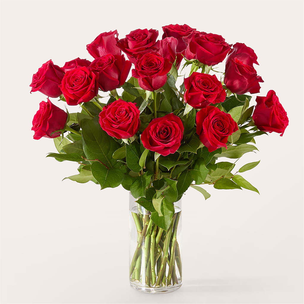The One Red Rose Bouquet –  Daisy Day Florist, Avondale Estates GA
