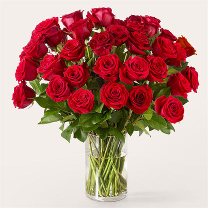 The One Red Rose Bouquet –  Daisy Day Florist, Avondale Estates GA