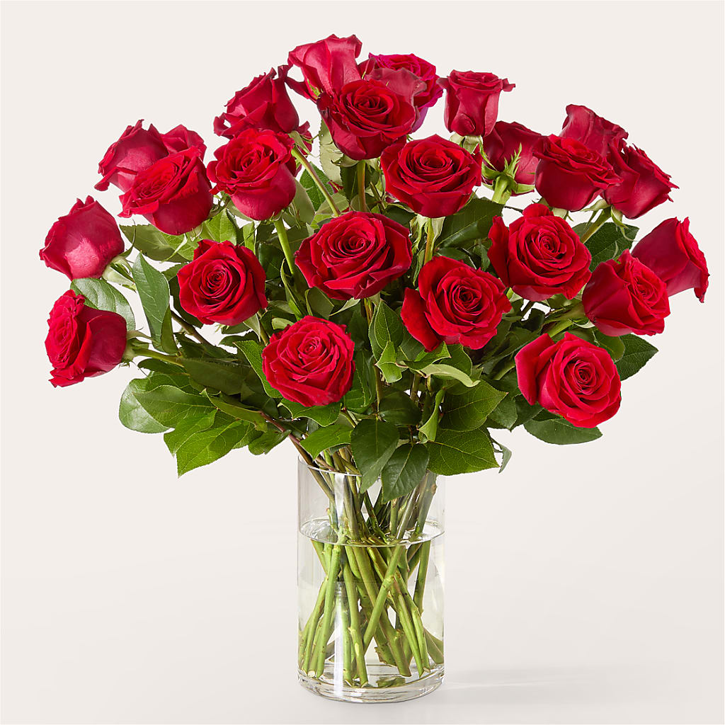 The One Red Rose Bouquet –  Daisy Day Florist, Avondale Estates GA