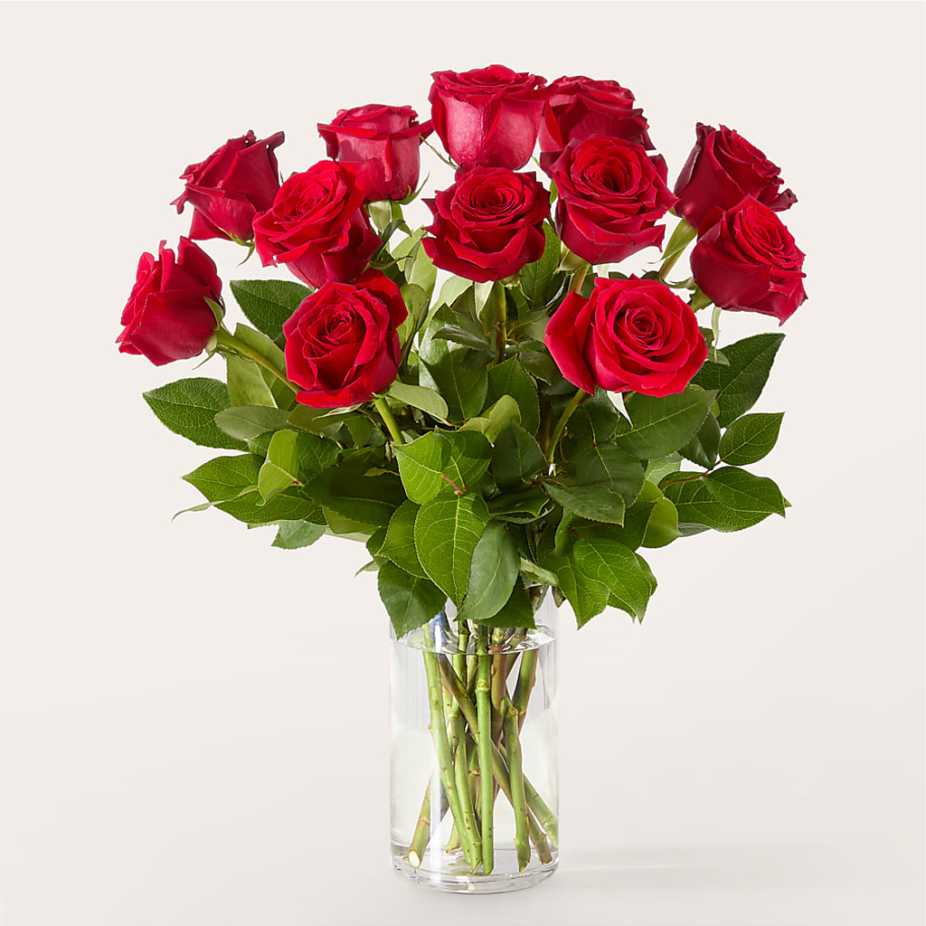 The One Red Rose Bouquet –  Daisy Day Florist, Avondale Estates GA