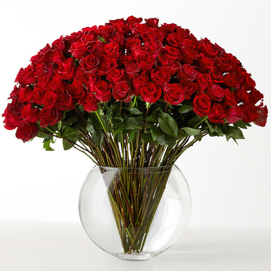 The Idealist –  Daisy Day Florist, Avondale Estates GA