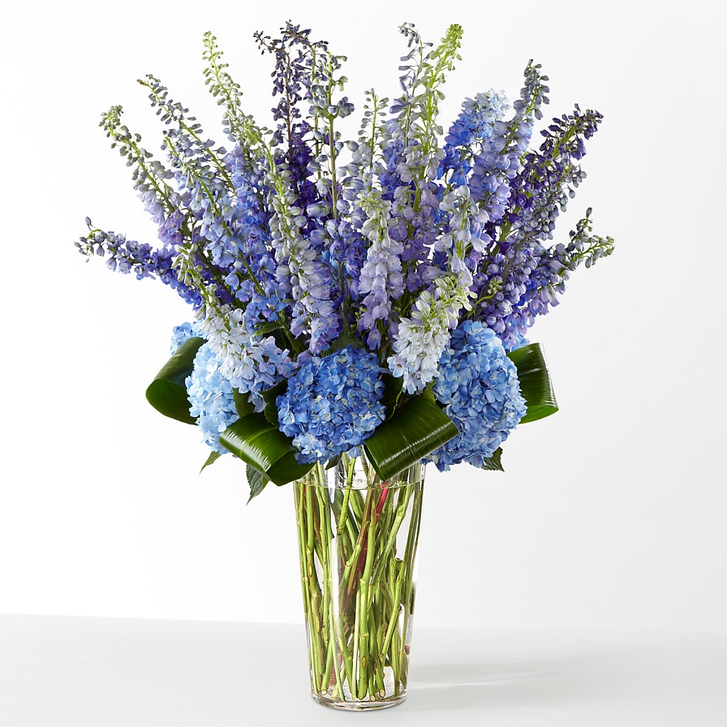 The Editorial –  Daisy Day Florist, Avondale Estates GA