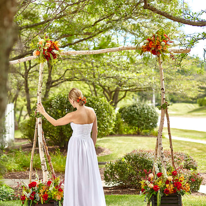 Arbor of Love Archway –  Daisy Day Florist, Avondale Estates GA