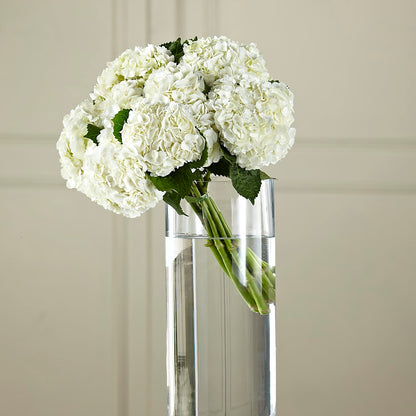 White Hydrangea Hand-Tied Bouquet –  Daisy Day Florist, Avondale Estates GA
