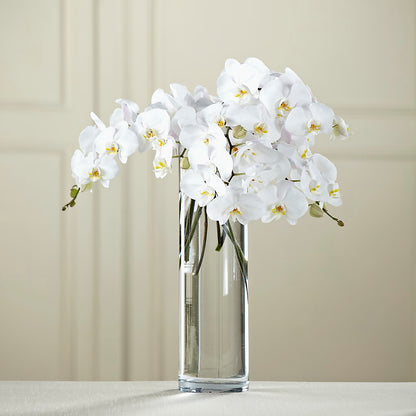 White Phalaenopsis Bouquet –  Daisy Day Florist, Avondale Estates GA