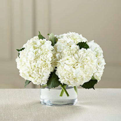 White Hydrangea Bouquet –  Daisy Day Florist, Avondale Estates GA