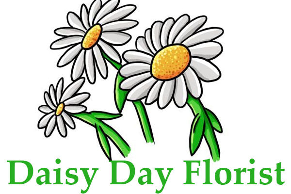 Daisy Day Florist